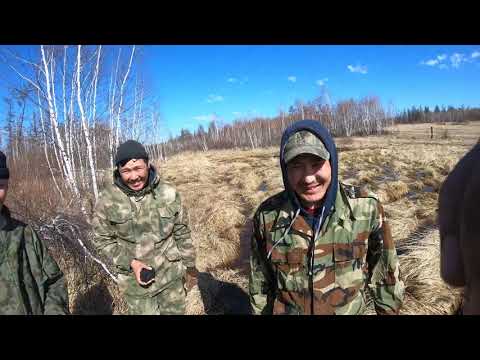 Видео: Моменты охоты. Сборник. Уол сырыылара. 2019-20. Саха Сирэ