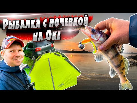 Видео: Рыбалка в сложных условиях | Джиг на реке | Денис Вихров