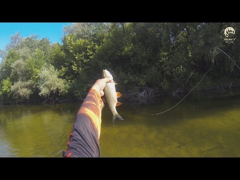 Видео: Сплав по р.Псел 2015 часть 2...bogomaz05