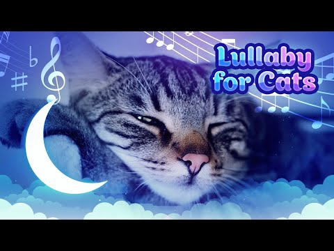 Видео: 10 часов кошачьей колыбельной ♬ Сладкие колыбельные для кошек на флейте