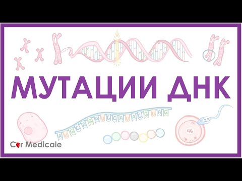 Видео: Мутации ДНК - генные, хромосомные, геномные | делеция, транслокация, инверсия - кратко