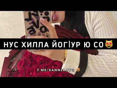 Видео: Нус хилла йог1ур ю со — Sanni.lo 😻