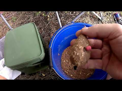 Видео: Ловля на кукурузу и макушатник в заливе Днепра.