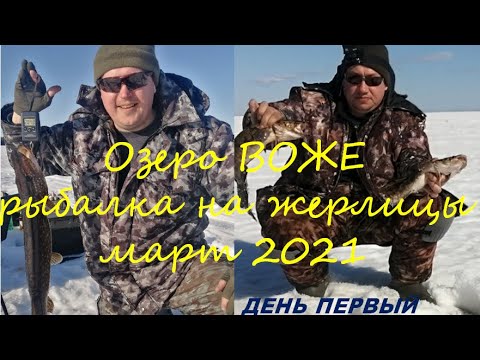 Видео: Озеро ВОЖЕ!!! Зимняя рыбалка на жерлицы))) Часть первая! #Winter #fishing on #LakeVozhe
