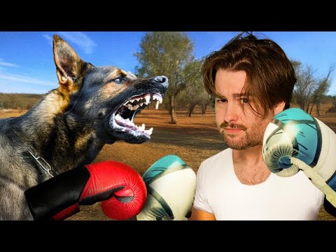 Видео: Список боевых животных