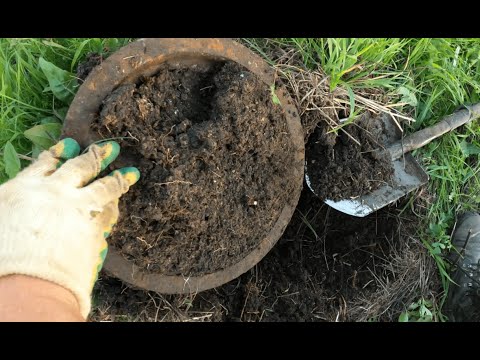 Видео: Цена почти пробила ДНО.Копаем без напряга.#shorts #metaldetecting #коп