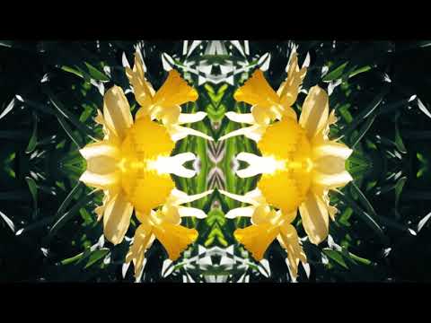 Видео: Зун Мери Ману - Тайната вечеря (The Last Supper)