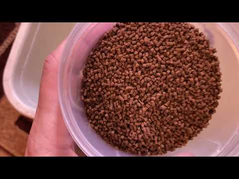 Видео: Получилось так как хотел😁