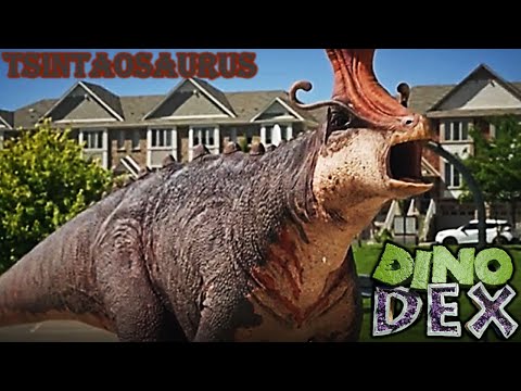 Видео: Экранное время Dino dex tsintaosaurus