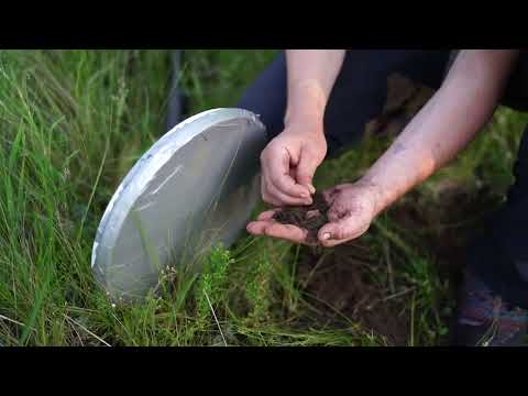 Видео: Минилаб 7000 . Тот самый метало искатель!!!