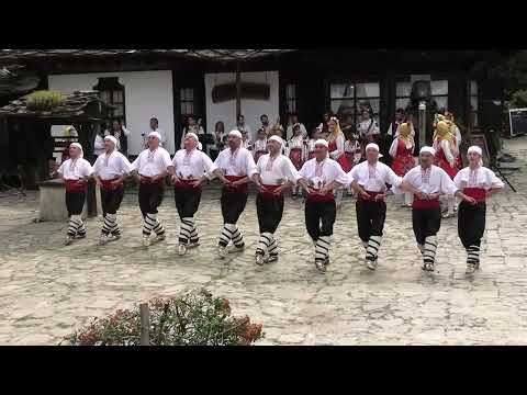 Видео: Варненски