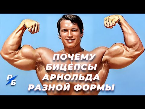 Видео: Почему бицепсы Арнольда Шварценеггера разной формы