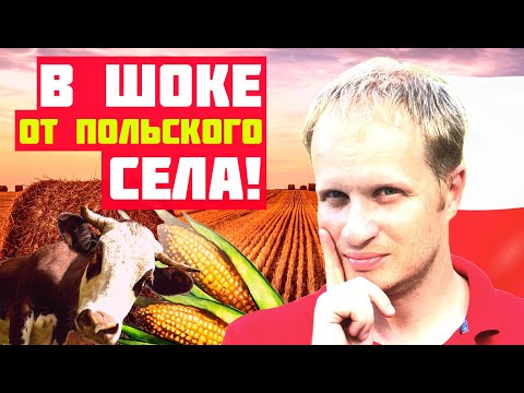Видео: НЕВЕРОЯТНО! ТАК ВЫГЛЯДИТ ПОЛЬСКОЕ СЕЛО? Жизнь в Польше.