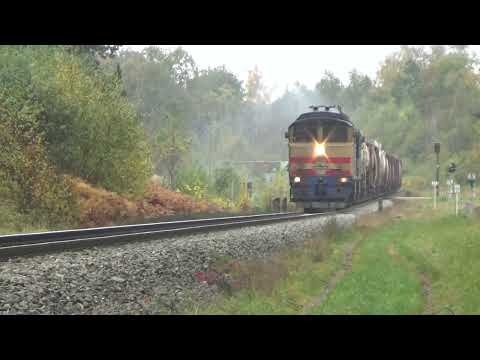 Видео: Тепловоз 2ТЭ116-1654, с составом на перегоне Ерсика-Ливаны(привет от машиниста!)