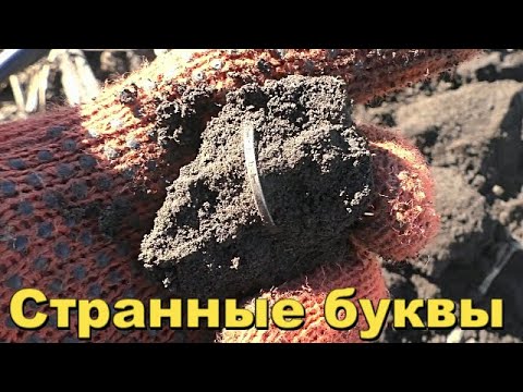 Видео: Протер Грязь и увидел Странные буквы на Гурте.