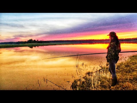 Видео: ПОЙМАЛА ОГРОМНУЮ РЫБУ В РЕКЕ ЗА ОГОРОДОМ. Рыбалка на поплавочную удочку. Купила участок в деревне.