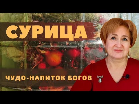 Видео: СУРИЦА – чудо-напиток Богов