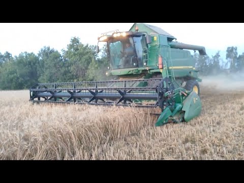 Видео: Уборка яровой пшеницы 11 августа 2025 год.John Deere W540, КАМАЗ 55102.