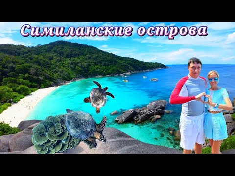 Видео: Симиланские острова.Таиланд. Прямо в сердце и навсегда♥️