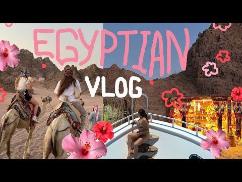 Видео: EGYPTIAN VLOG // Дайвинг / Верблюды / Farsha