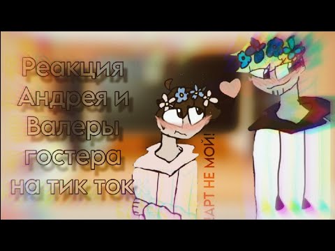 Видео: реакция windy 31 и Валера Гостер на ТТ. 1/? #windy31#валерагостер #винстер