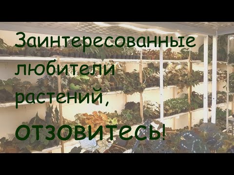 Видео: Заинтересованные любители растений, отзовитесь!