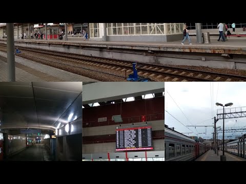 Видео: Информатор Курского вокзала. Сборник записей 15.05.2021