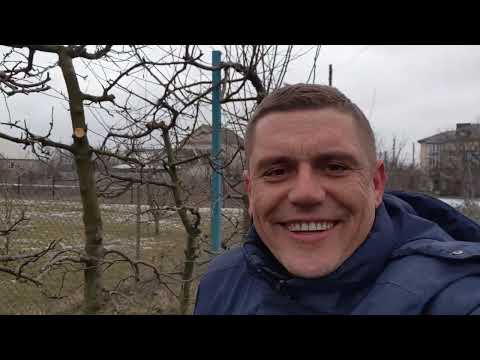 Видео: Обрізка Яблуні(схема посадки 1м)