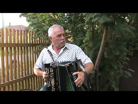 Видео: Народный наигрыш на гармони "Тульская 402". "Сербиянка".