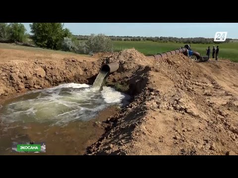 Видео: Су тапшылығы | Экосана