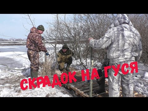 Видео: Выбор места и изготовление комфортного скрадка для бригадной гусиной охоты.Skladok for goose hunting
