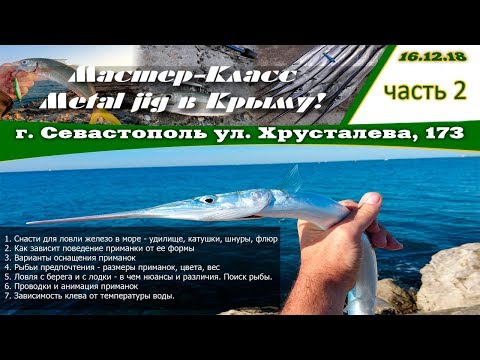 Видео: Мастер-Класс: Ловля на Metal jig (Пилькер) на Черном море. Часть вторая.