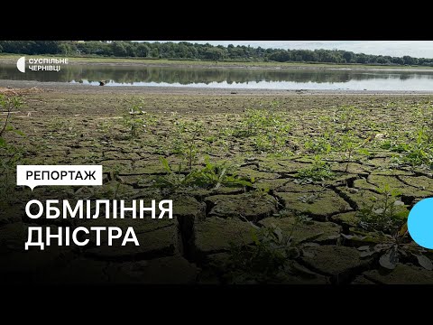 Видео: У Чернівецькій області через посуху обмілів Дністер