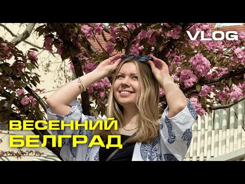 Видео: Весна в Белграде, влог
