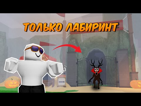 Видео: ЖИВУ ТОЛЬКО В ЛАБИРИНТЕ В 99 НОЧЕЙ В ЛЕСУ🔥 99 nights in the forest roblox