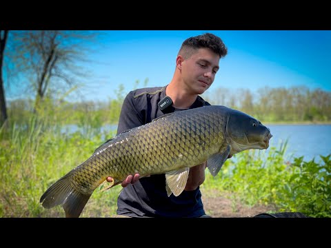 Видео: Тестим новинку! Работа вкуса "Мандарин" на короткой суточной сессии!