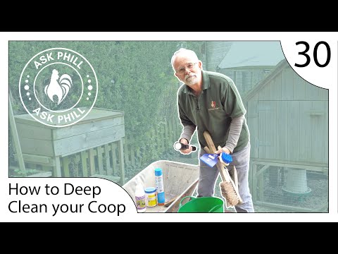 Видео: Как провести генеральную уборку в курятнике — спросите Фила 30
