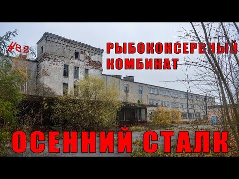 Видео: Сталк на Cветловский рыбоконсервный комбинат.  Осенний тлен. #82