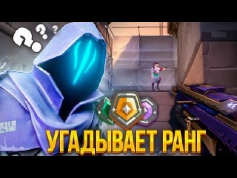 Видео: ПРОФЕССИОНАЛЬНЫЙ ТРЕНЕР УГАДЫВАЕТ РАНГИ ПОДПИСЧИКОВ (VALORANT)