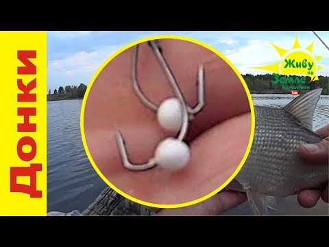 Видео: Донки Крокодил, насадка пенопласт. Первый выезд. Подробная рыбалка. Подробно про оснастку.