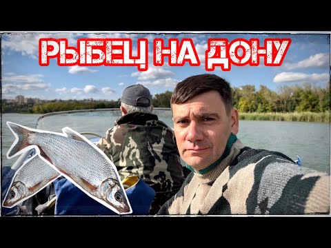 Видео: ЛОВИМ РЫБЦА НА ДОНУ РЫБАЛКА ПРОСТО КЛАСС