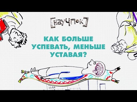 Видео: Как больше успевать, меньше уставая? — Научпок