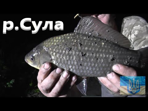 Видео: Не дуже вдала вечірня рибалка #РибачуЯкУмію
