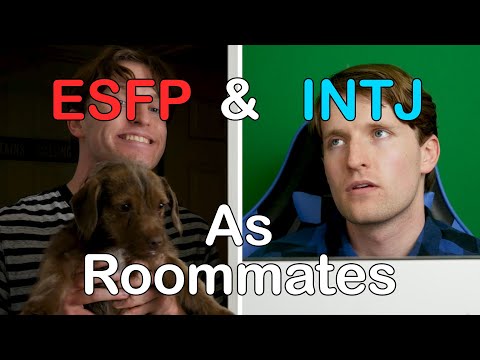 Видео: ESFP и INTJ как соседи по комнате