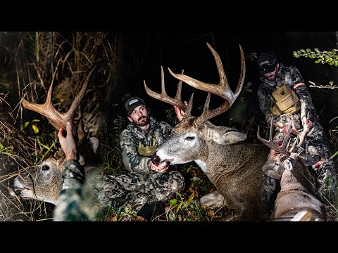 Видео: Большой миннесотский олень падает! | Октябрьская охота с луком