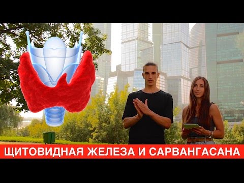 Видео: Щитовидная железа и сарвангасана.  Поза березки и лечение щитовидной железы