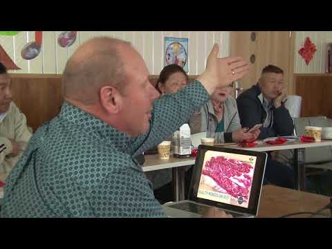 Видео: Туршлага судлах аялал - Занаду Рэйзорбак (хичээл 1)