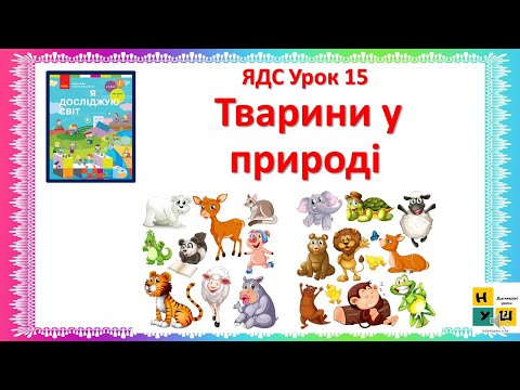 Видео: ЯДС 2 клас Урок 15 Тварини у природі автор підручника Бібік