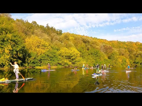 Видео: Осенняя прогулка по перекатам Осетра в Берхино 24092023