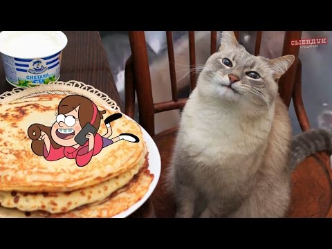 Видео: ЛУКОВАЯ СИЛА (ПОСЛЫШАЛОСЬ)